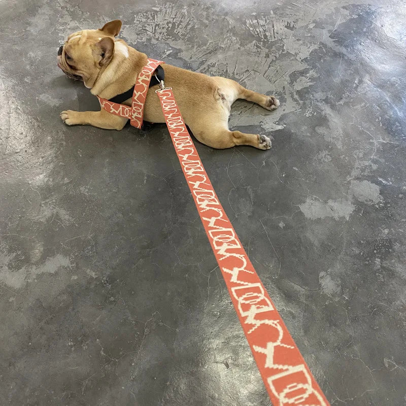 Nuevo conjunto de correa y arnés para perros, arnés reflectante ajustable para cachorros, chaleco para caminar al aire libre, arnés para perros pequeños y medianos, accesorios