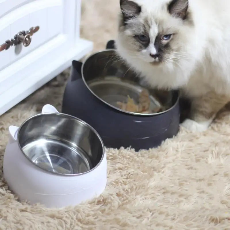 100ML Cat Dog Bowl 15 Degrees Raised Non Slip Puppy Base Food Drinking Water Feeder Tilt Safeguard Neck Pet Accessories