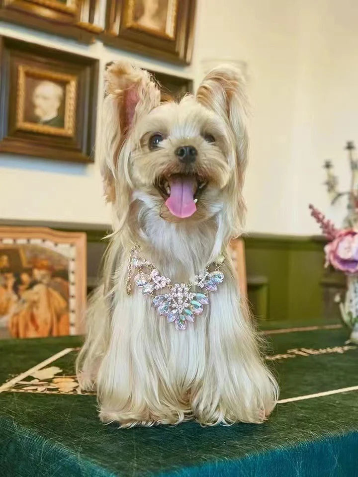 Collar de lujo para mascotas, cadena ajustable, collar de perro con diamantes de imitación grandes para perros pequeños, collar de gato con diamantes de moda, accesorios para mascotas femeninas, estilo