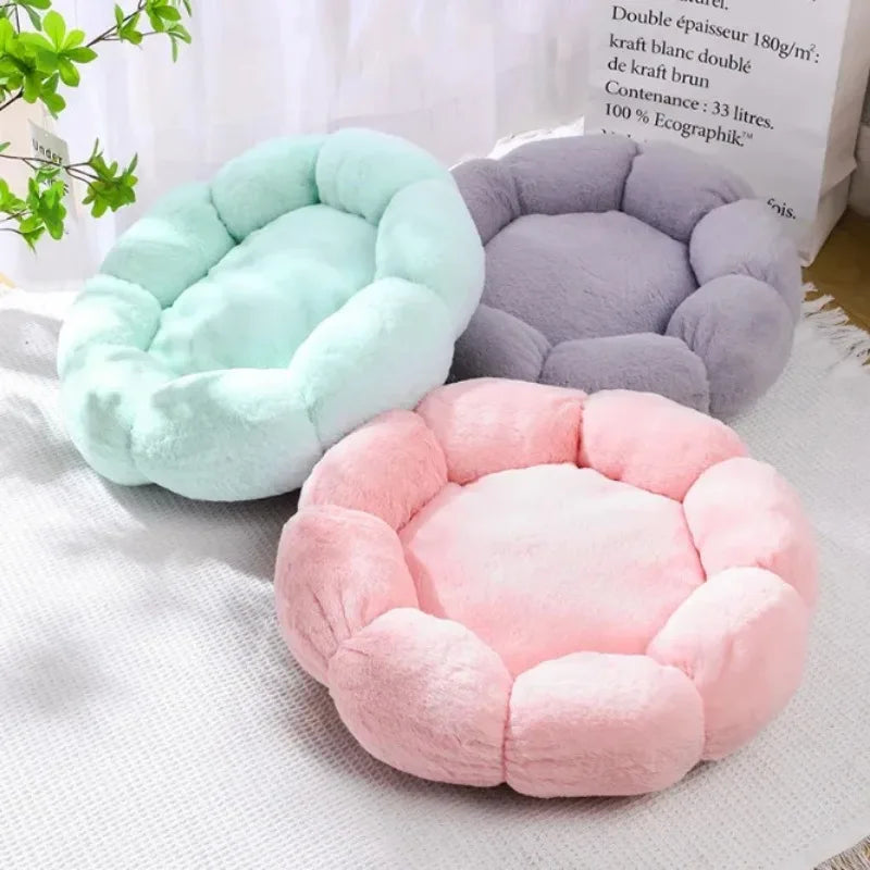 Use Unique Flower-Shaped Dog and Cat Mat for Comfortable Sleep Pet Bed for Indoor and Outdoor