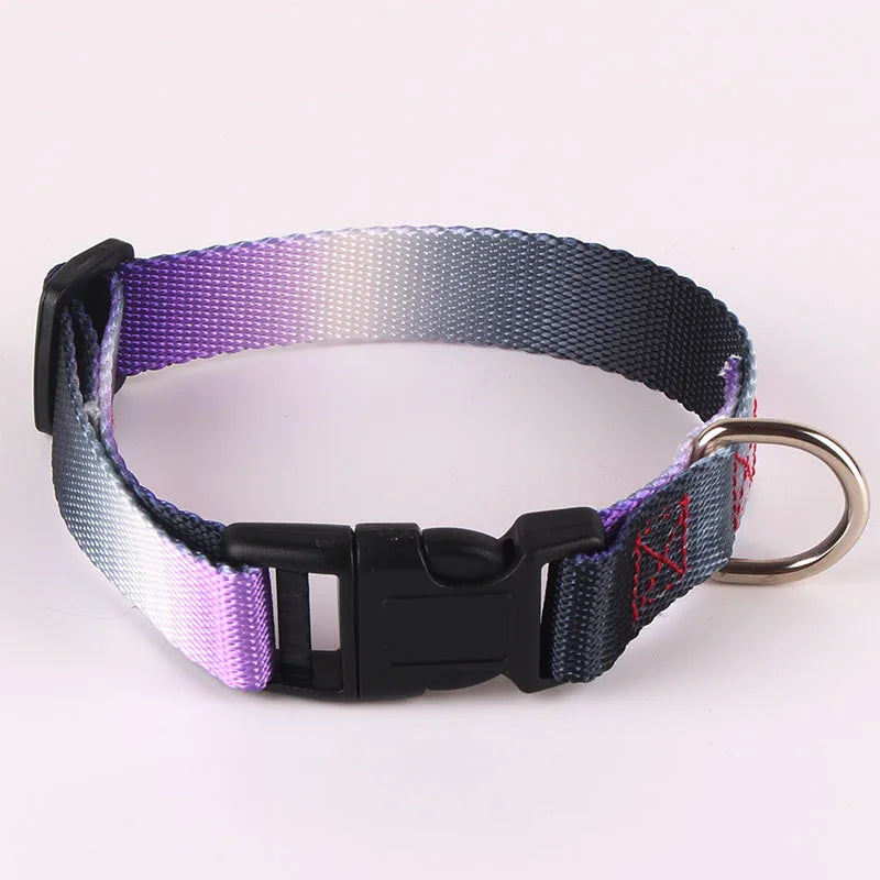 Conjunto de Collar y correa para perro, Collar ajustable con gradiente de Color de nailon para arnés para perros grandes, medianos y pequeños, accesorios para mascotas