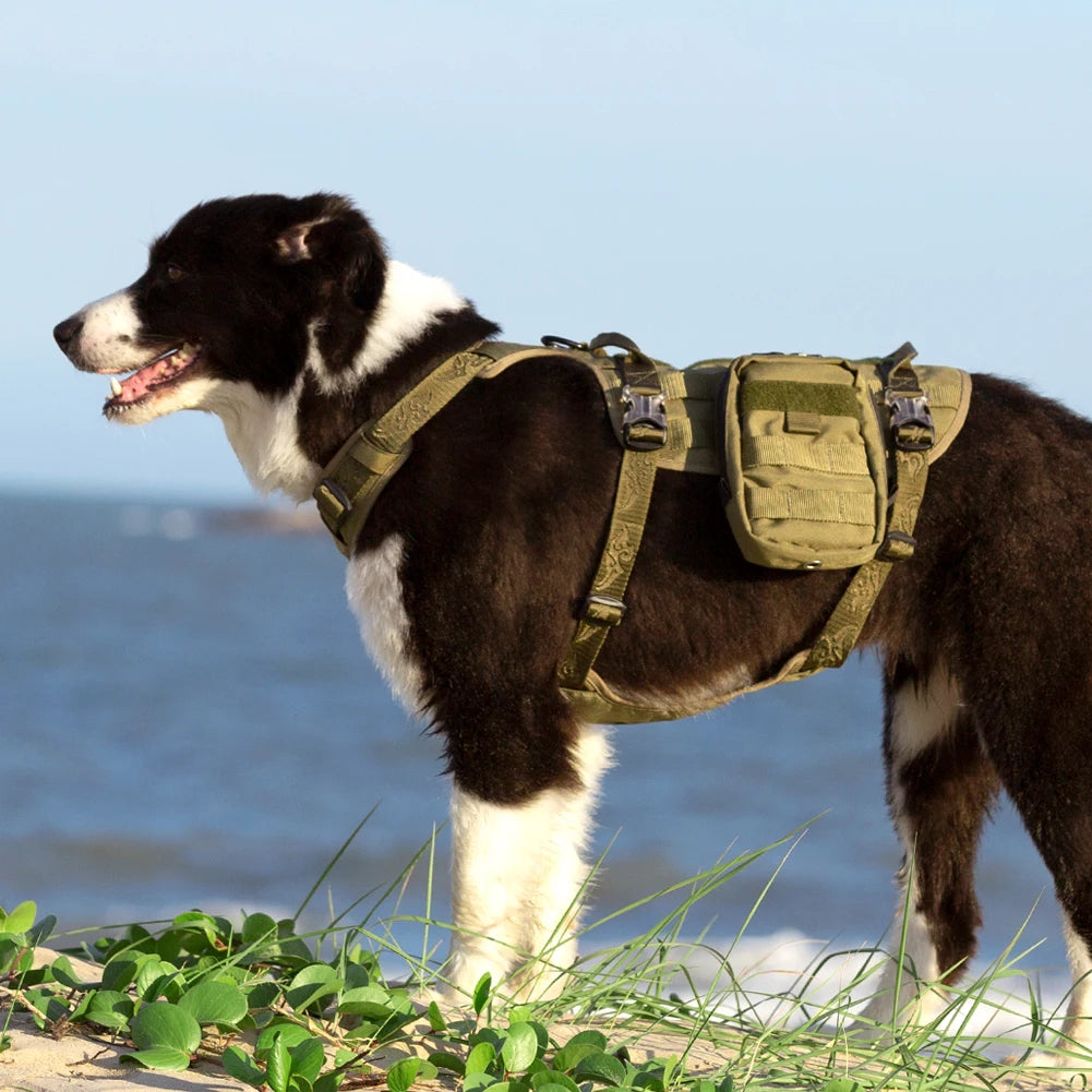 Winhyepet Arnés para perros al aire libre, antideslizante en la espalda, chaleco para mascotas sin tirones, tela para caminar, viajar, accesorios para cachorros grandes y pequeños