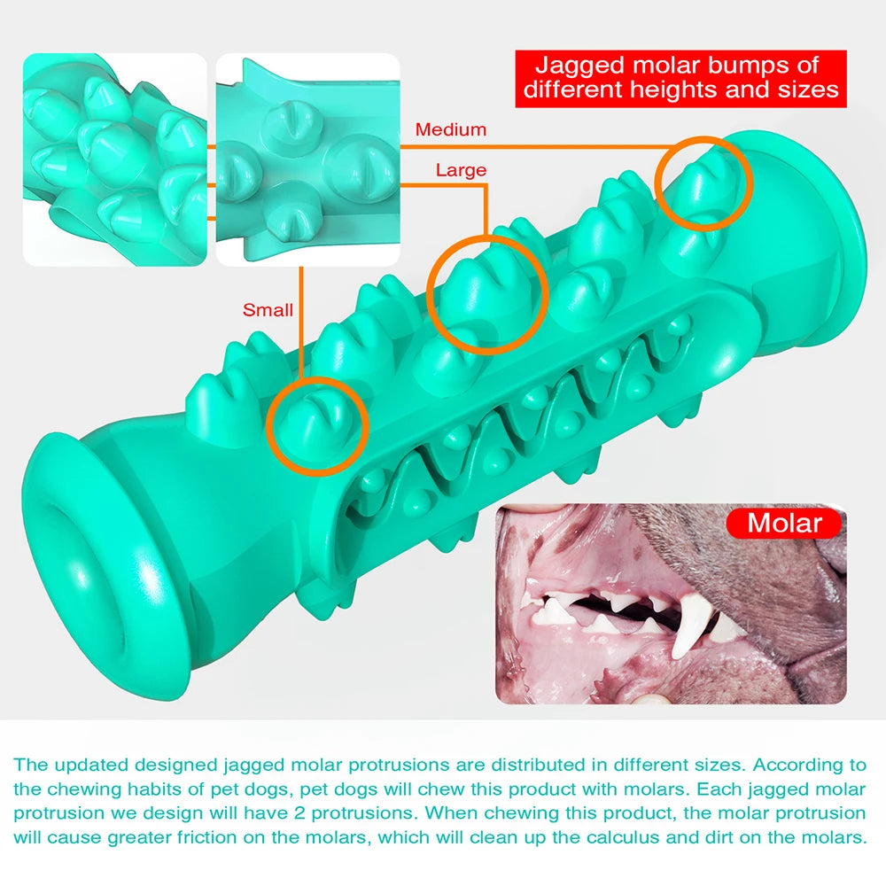 Cepillo de dientes Molar para perros, juguetes para perros pequeños y grandes, Limpieza de dientes para gatos, masticar para cachorros, divertido juguete de entrenamiento interactivo, accesorios