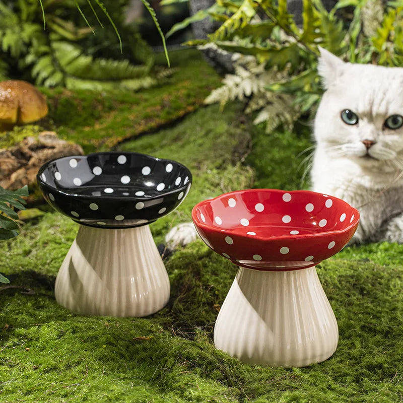 Bol en céramique surélevé pour chat, mignon, nourriture pour animaux de compagnie, mangeoires d'eau, petits chiens élevés, boire et manger