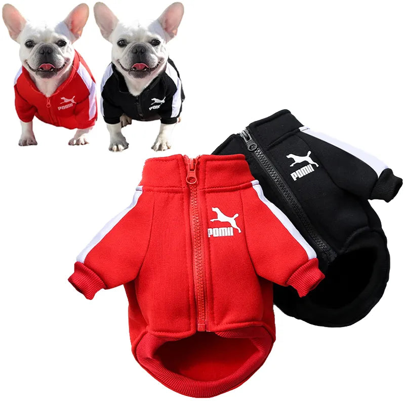 Chaqueta de béisbol para perros, ropa de invierno para perros pequeños y medianos, chaleco para cachorros, sudadera para Bulldog Francés, abrigo para Pug Chihuahua, estilo de moda