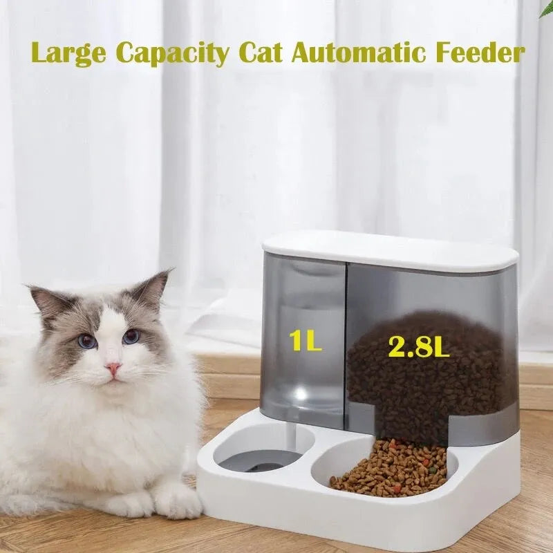 Distributeur automatique de nourriture pour chat, grande capacité, bol d'eau potable, fournitures pour animaux de compagnie, séparation humide et sèche, récipient de nourriture pour chien