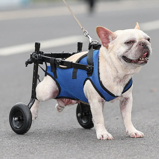 Accesorios para mascotas, silla de ruedas ajustable para perros, peso ligero, fácil de montar, para caminar con patas traseras discapacitadas