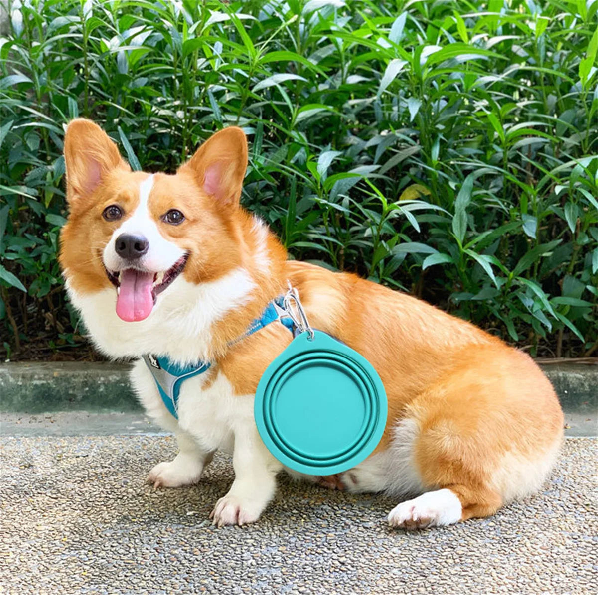 350/600ml Large Collapsible Dog Pet Folding Silicone Bowl Outdoor Travel Portable Puppy Food Container Feeder Dish Bowl