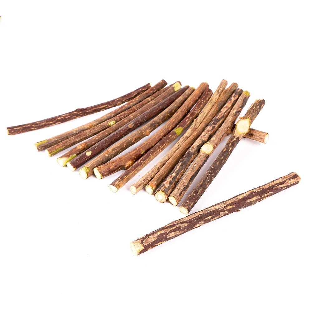 Silvervine Sticks para gatos Natural Catnip Chew Sticks Dientes Molar Masticar Juguetes para Gato Gatito Regalos