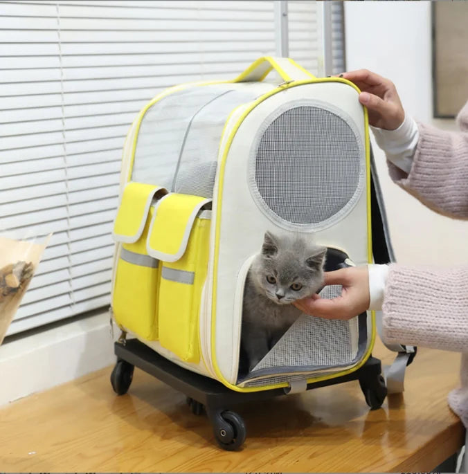 Nouvelles poches de rangement pour fenêtres de Ventilation en maille souple, roues roulantes amovibles, sac à dos de transport pour animaux de compagnie