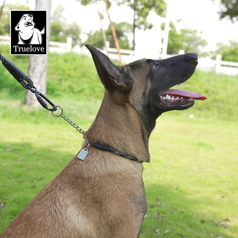 Collar P para mascotas, nuevo Metal fuerte, acero inoxidable, nailon trenzado, cuerda grande, entrenamiento, perro, accesorios de lujo de diseño Premium