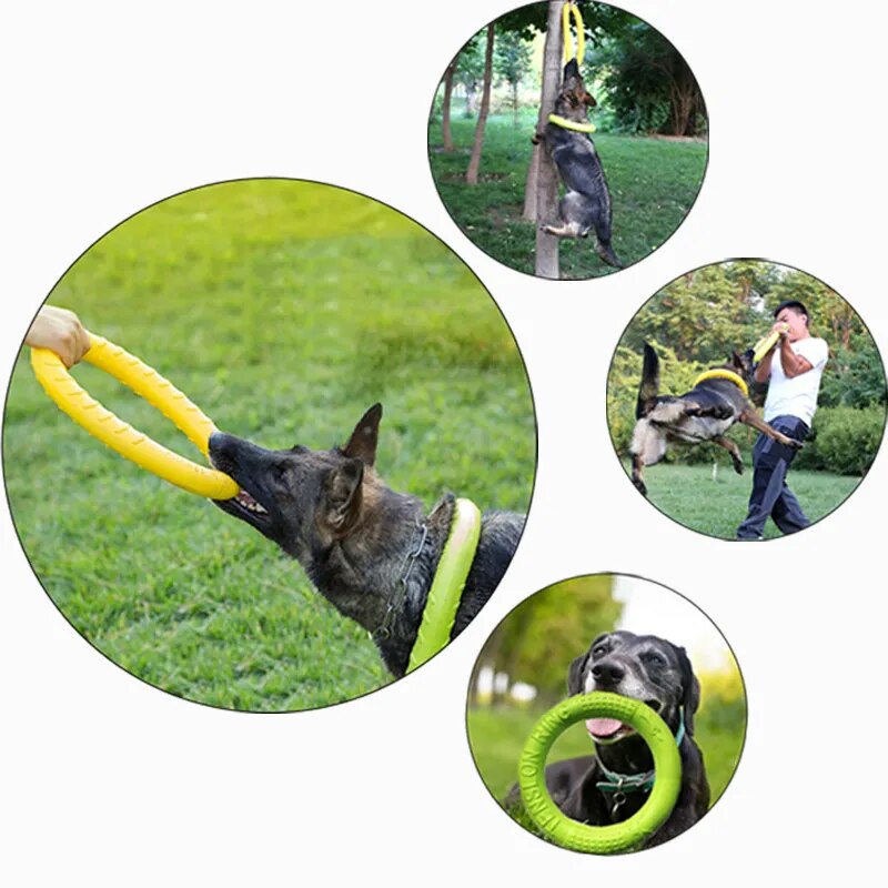 Juguetes para perros, disco volador para mascotas, anillo de entrenamiento, extractor antimordida, suministros interactivos flotantes, juguetes para perros, masticación agresiva