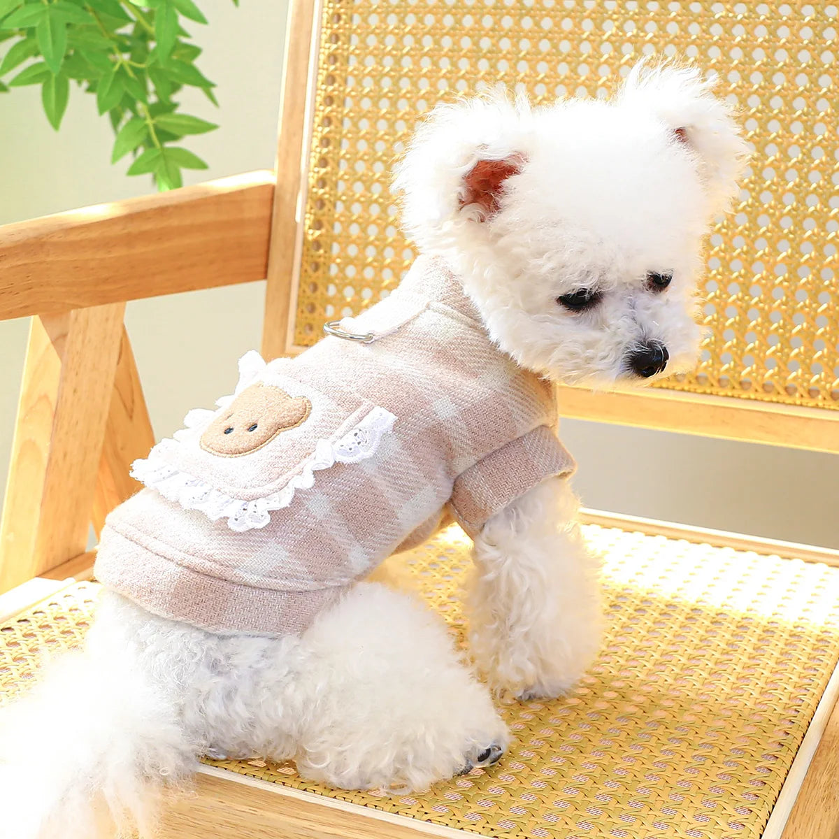 1PC Pet Apparel Cat Autumn and Winter Thickened Warm Couple Dress  Bear Pink Vest With Drawstring Buckle For Small Medium Dogs