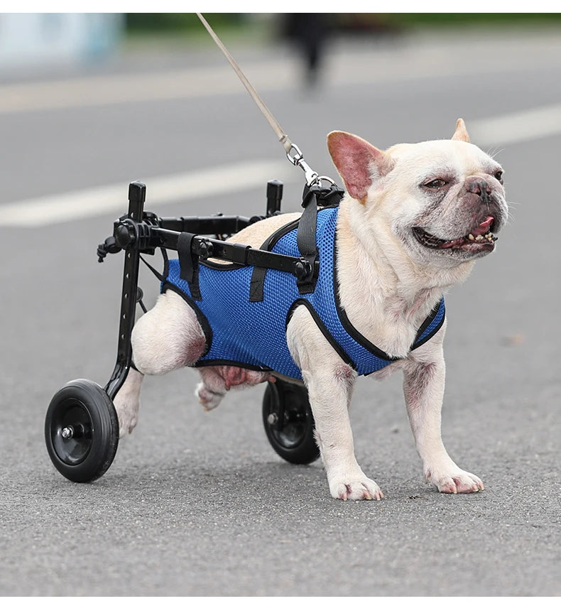 Pet Accessories Light Weight Easy Assemble Adjustable Pet Dog Wheelchair for Disabled Hind Legs Walking