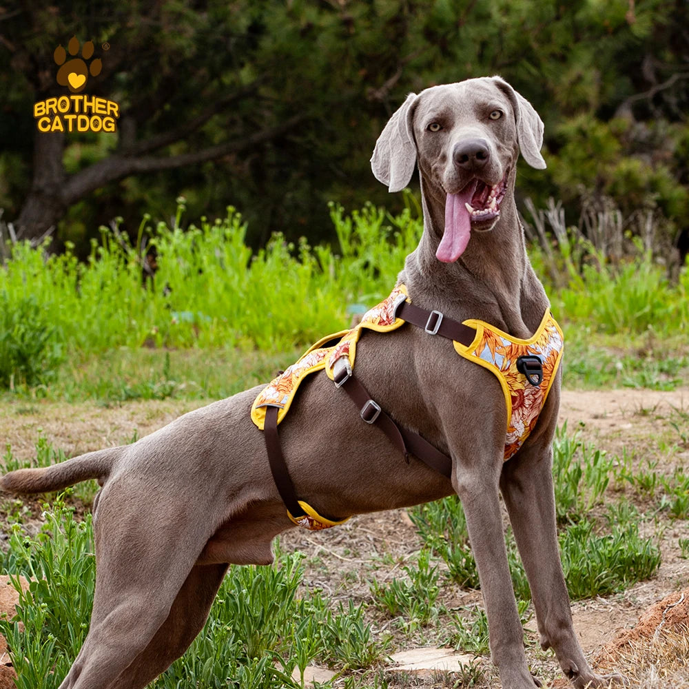 Arnés para perros, artículos para perros, chaleco de entrenamiento para caminar al aire libre, accesorios para perros, chaleco con arnés para mascota reflectante transpirable, suministros para mascotas