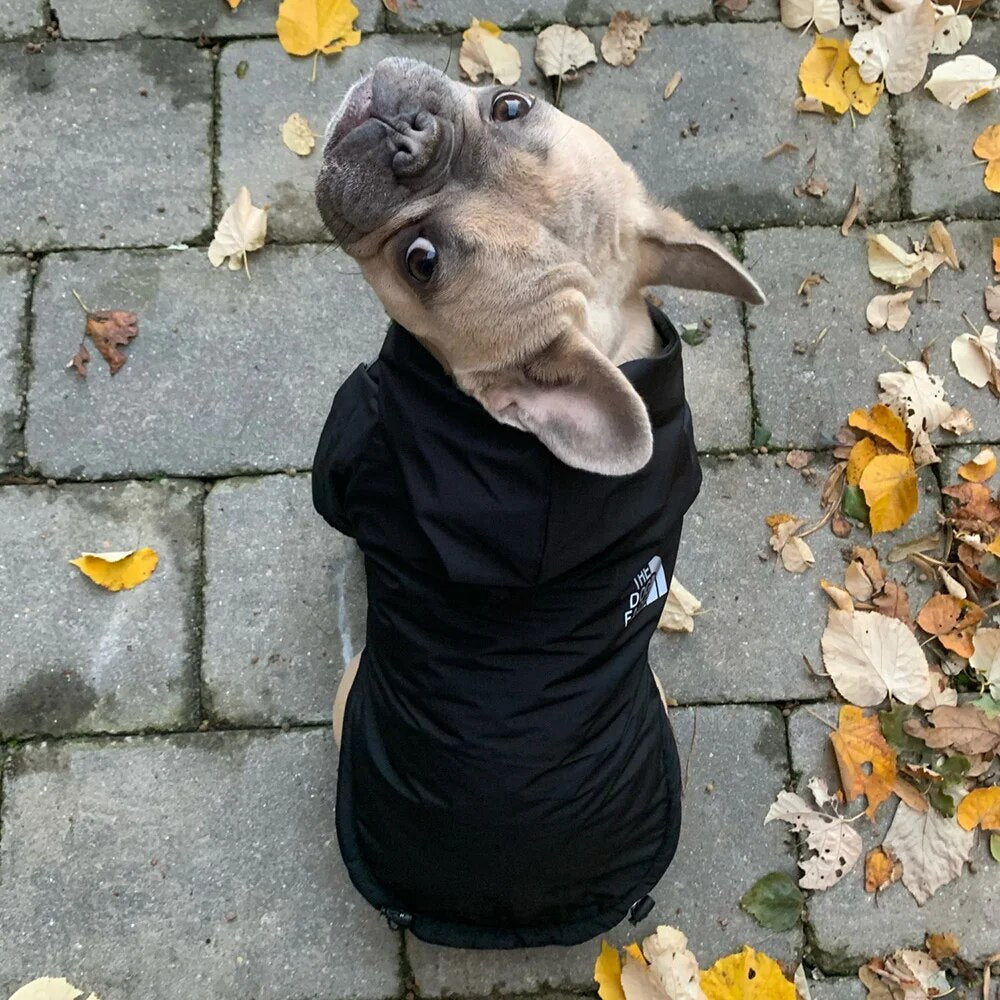 Otoño Invierno perro mascota impermeable abrigo cálido chaqueta con capucha de algodón la cara del perro perros pequeños gato reflectante ropa para mascotas abrigo de invierno