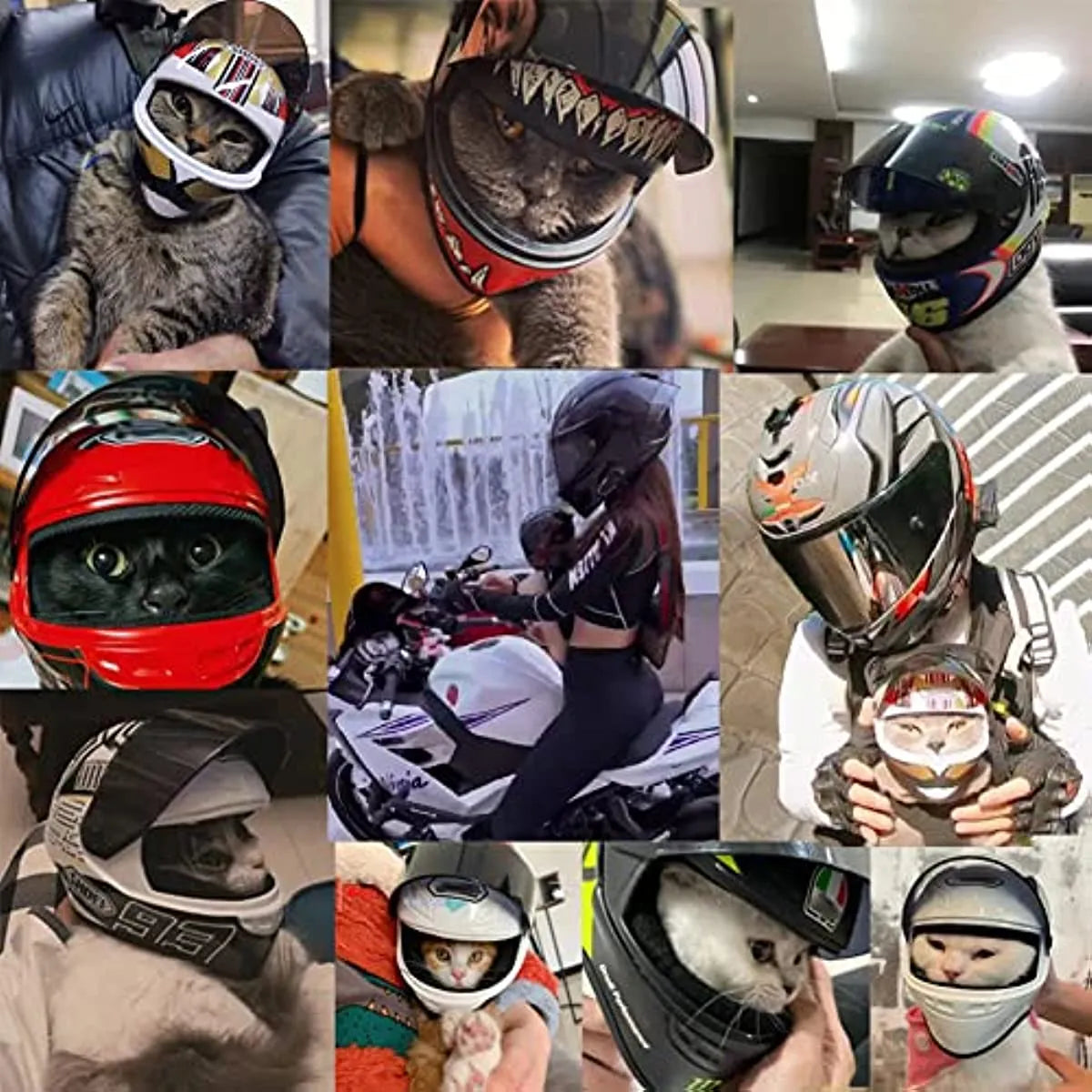 Casco integral para motocicleta para mascotas, mini cascos para perros y gatos, sombrero seguro para proteger la cabeza al aire libre, accesorios para fotos de gatos y mascotas