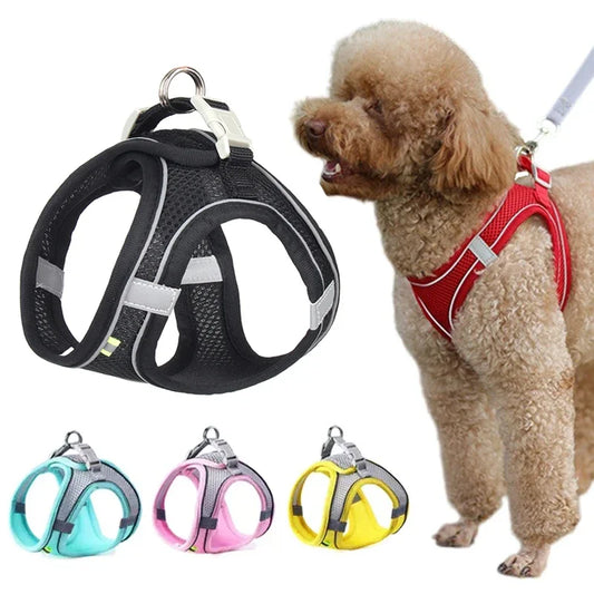 Conjunto de chaleco y correa de malla de verano para perros pequeños, arnés ajustable para cachorros y gatos, correa para el pecho para caminar con perros al aire libre, suministros para mascotas