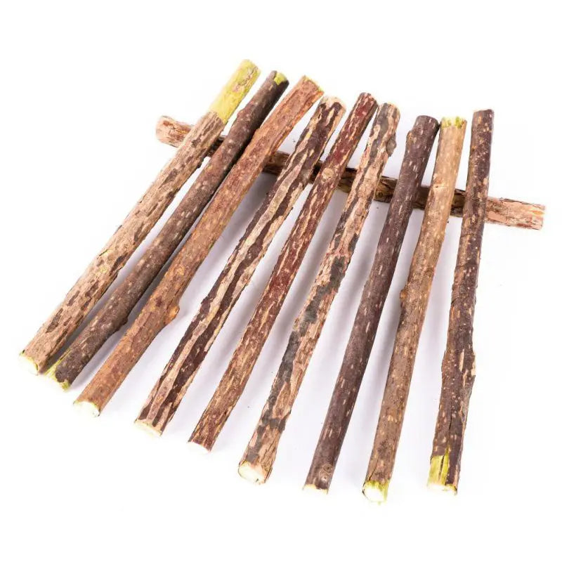 10/15/20 pcs/lot bâton d'herbe à chat jouets molaires pour chat de compagnie bâtons de Polygonum en bois naturel nettoyage des dents soulager l'ennui collations jouets à mâcher