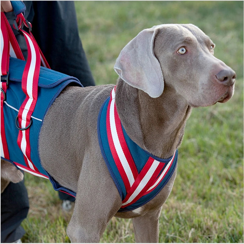 Arnés de asistencia ajustable, soporte para eslinga de elevación, correa para mascotas, accesorios de tracción para perros mayores, correa para entrenamiento y ayuda para el comportamiento