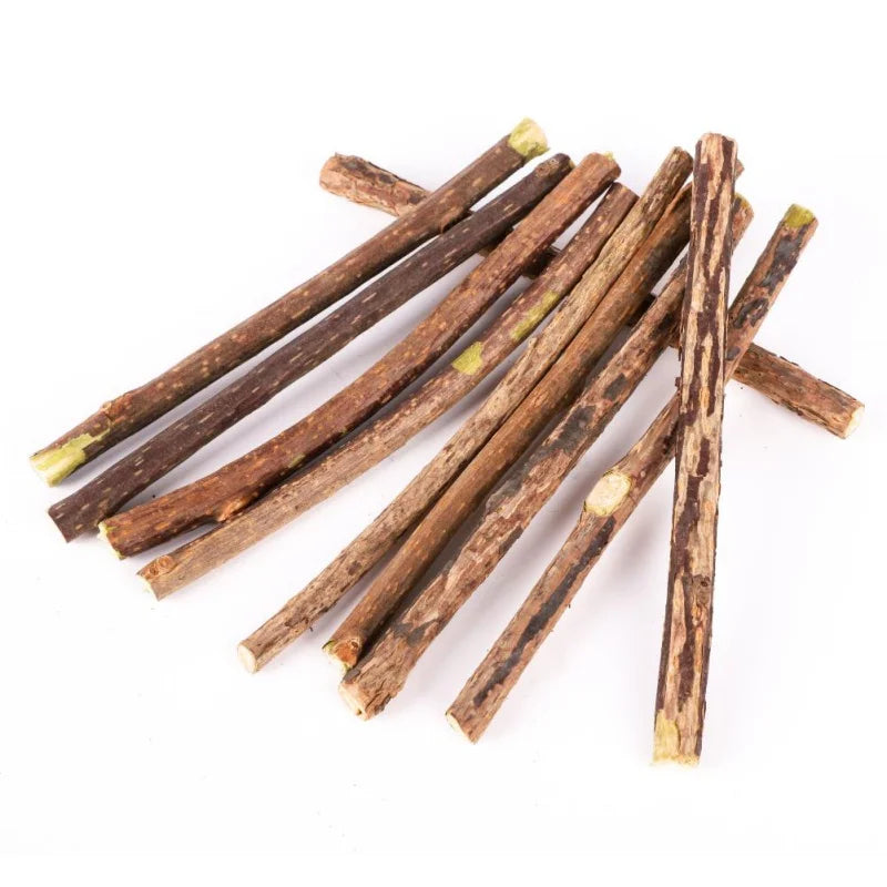 10/15/20 pcs/lot bâton d'herbe à chat jouets molaires pour chat de compagnie bâtons de Polygonum en bois naturel nettoyage des dents soulager l'ennui collations jouets à mâcher