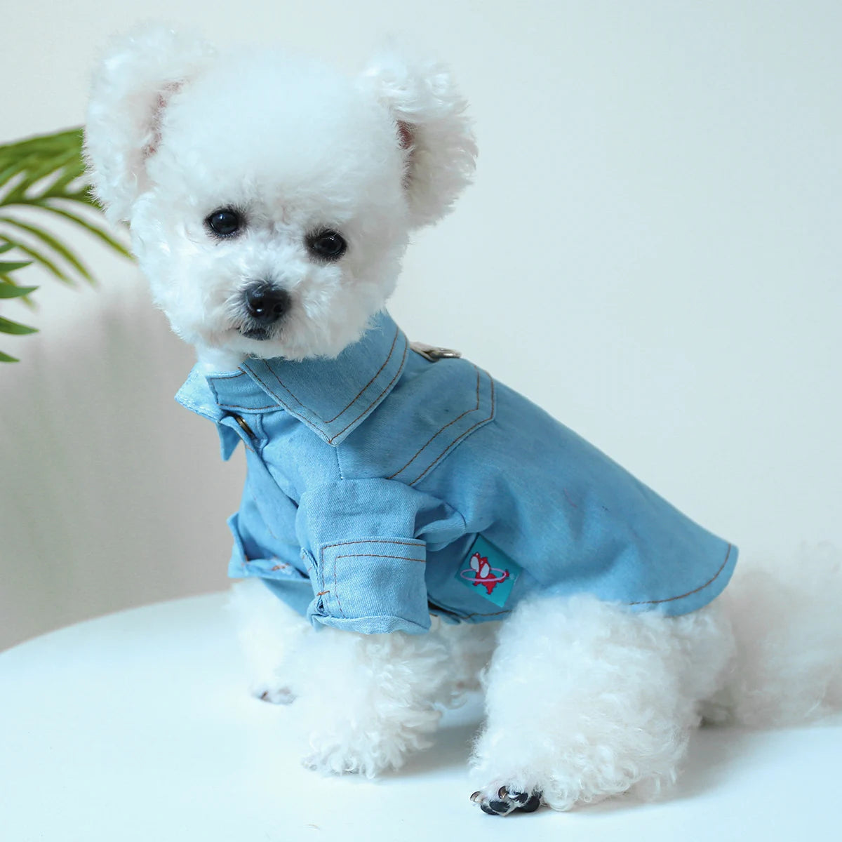 1PC Pet Apparel Dog Spring and Autumn Blue Denim Handsome Casual Shirt Coat With Drawstring Buckle For Small Medium Dogs