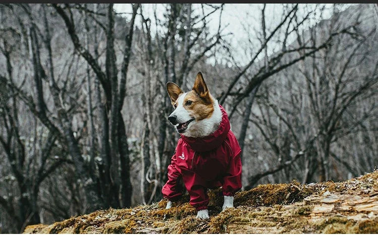 Abrigo para perros, chaqueta para exteriores, impermeable, ropa cálida de invierno, mono grande, impermeable reflectante para perros medianos y grandes