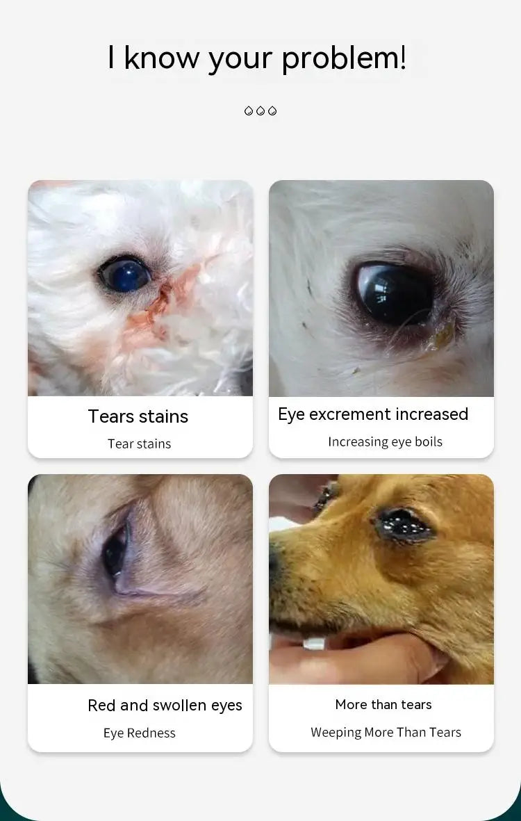 Pet Eye Tear Stain Remover Pet Health Care Usb Rechargeable Ultrasonic Atomizer Dog Grooming Dog Accessories Cat Accessories