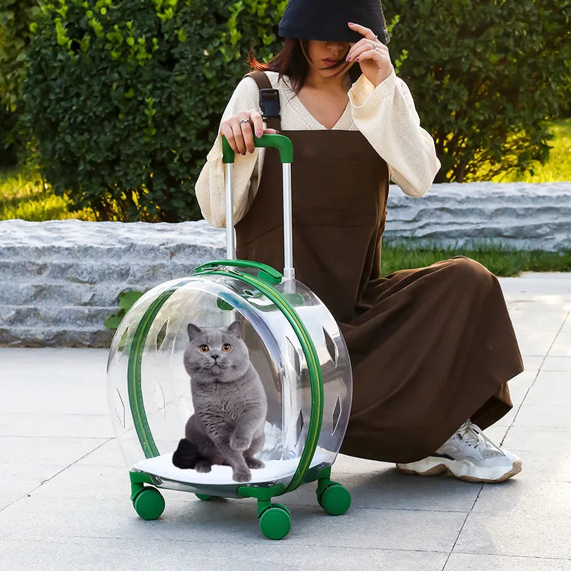 Maleta con carrito, bolsa de transporte transparente para mascotas, transportadores para gatos, transporte y cochecitos, jaula para gatos con ruedas, productos para mascotas