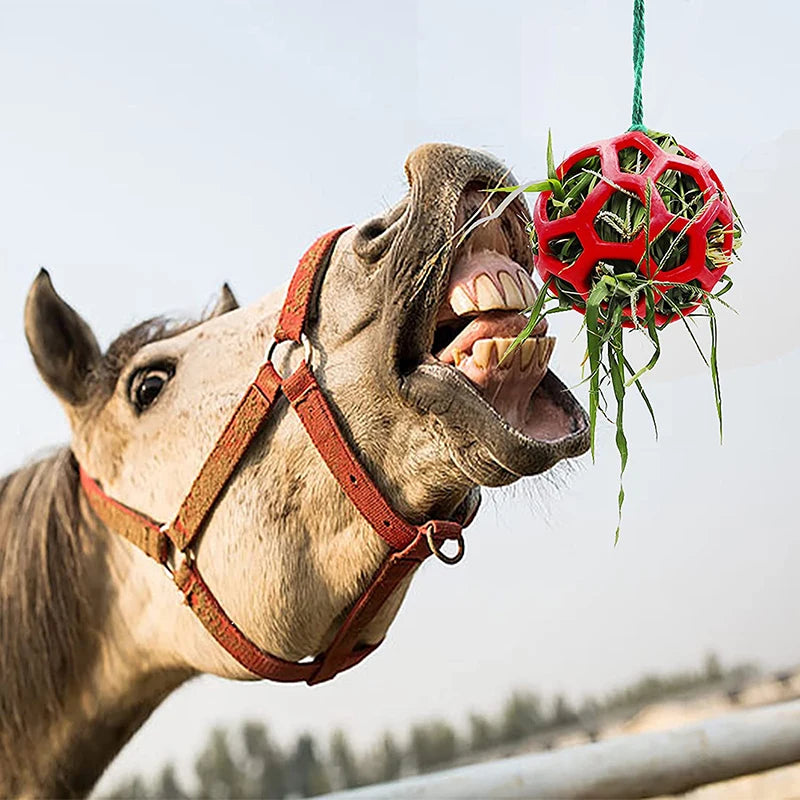 Boule de friandises suspendue pour cheval, 1 pièce, jouet d'alimentation pour cheval, chèvre, mouton, soulage le Stress, balle de friandises pour cheval, jouet d'alimentation pour foin