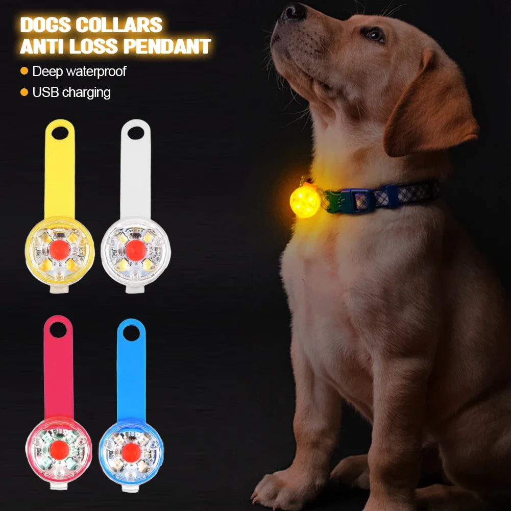 Colliers Anti-perte pour chiens, pendentif de sécurité étanche, lumière clignotante LED, LED rechargeable par USB, pendentif pour chiens, chats, animaux de compagnie