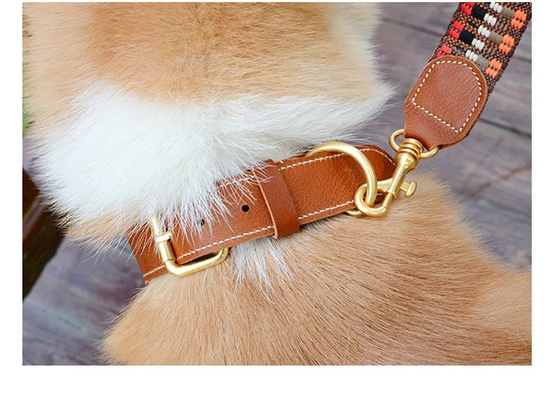 Nuevo collar de color mejorado de alta calidad para perros grandes, pastor alemán, paseo para perros, cadena P, mascota ajustable para perros medianos y grandes, accesorios