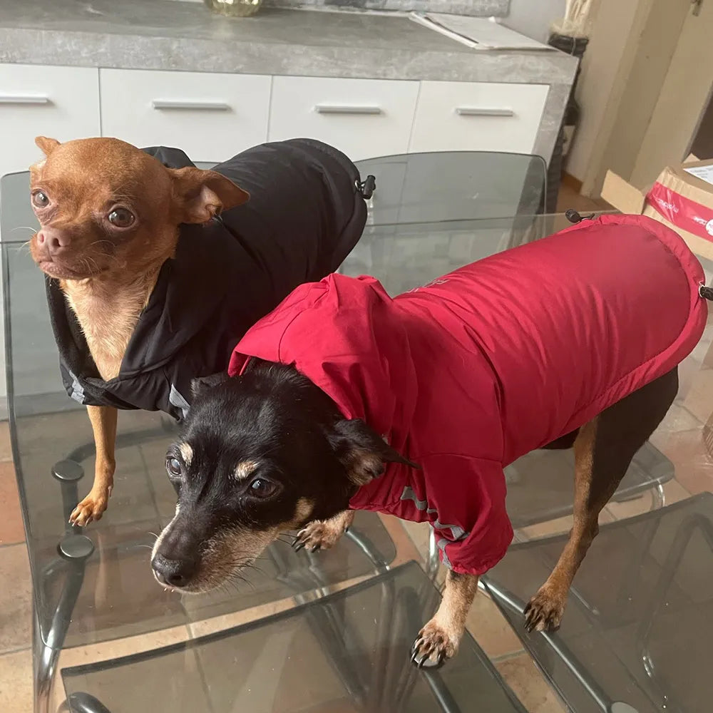 Otoño Invierno perro mascota impermeable abrigo cálido chaqueta con capucha de algodón la cara del perro perros pequeños gato reflectante ropa para mascotas abrigo de invierno