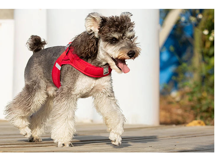 Portabebés para perros pequeños, hebilla en D de aluminio, gancho para caminar y bucle, accesorios portátiles para ponerse y quitarse