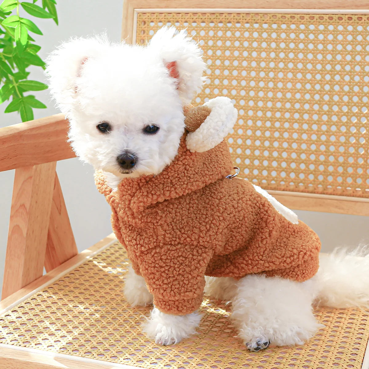 1PC Pet Apparel Cat Autumn Winter Plush Thickened Warm Little Bear Head Coat Hoodie With Drawstring Buckle For Small Medium Dogs