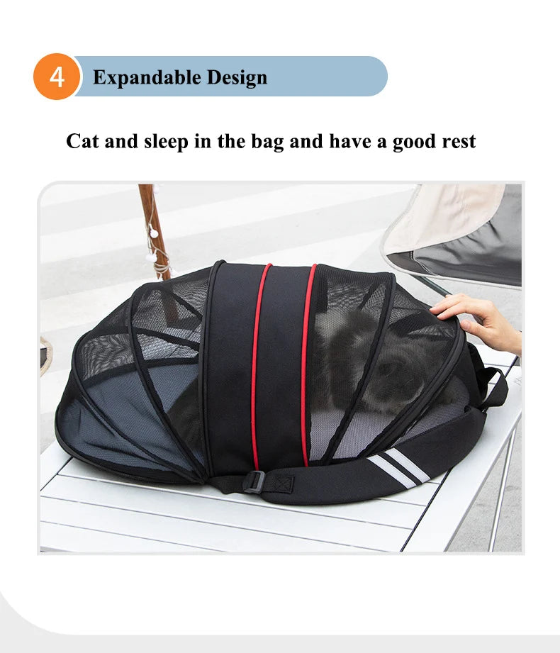 Sac à dos pour animal de compagnie, respirant, extensible, de grande capacité, pour évasion, pratique, voyage en plein air, pliable