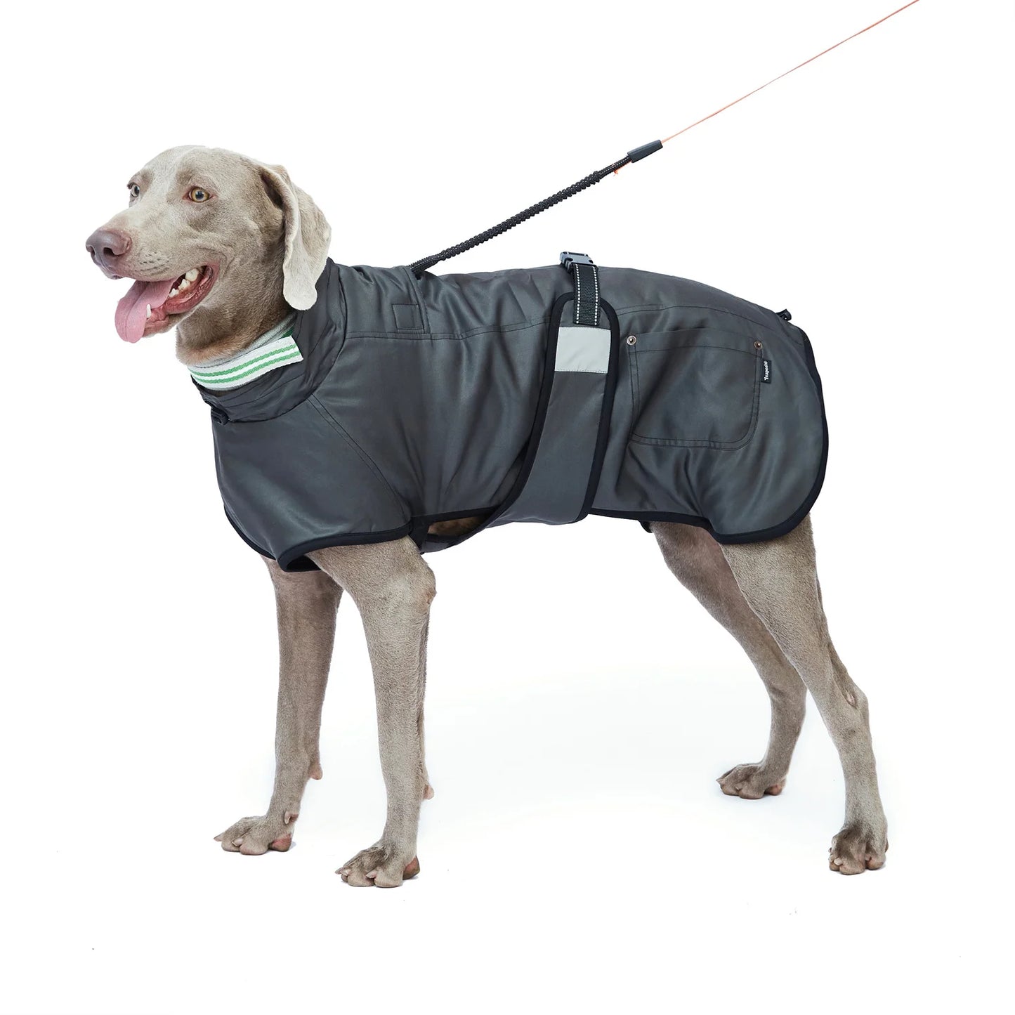 Ropa para perros impermeable primavera otoño cálido abrigo para perros grandes ajustable reflectante a prueba de viento chaqueta de lluvia al aire libre para senderismo