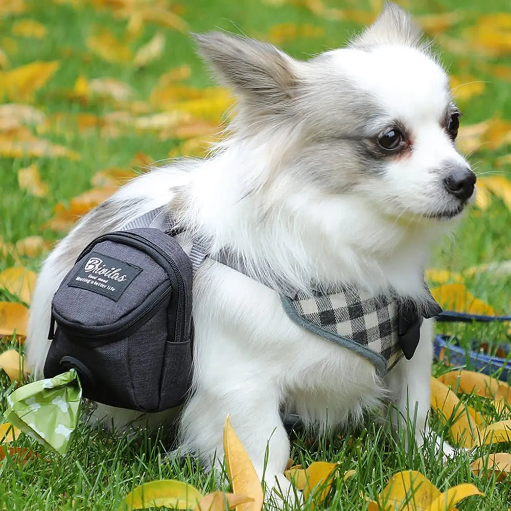 Sac de friandises Portable pour entraînement de chien, pochette de friandises en plein air pour animal de compagnie, sac de taille de récompense pour chiot, sac de merde pour chien, sacs de transport pour chiens