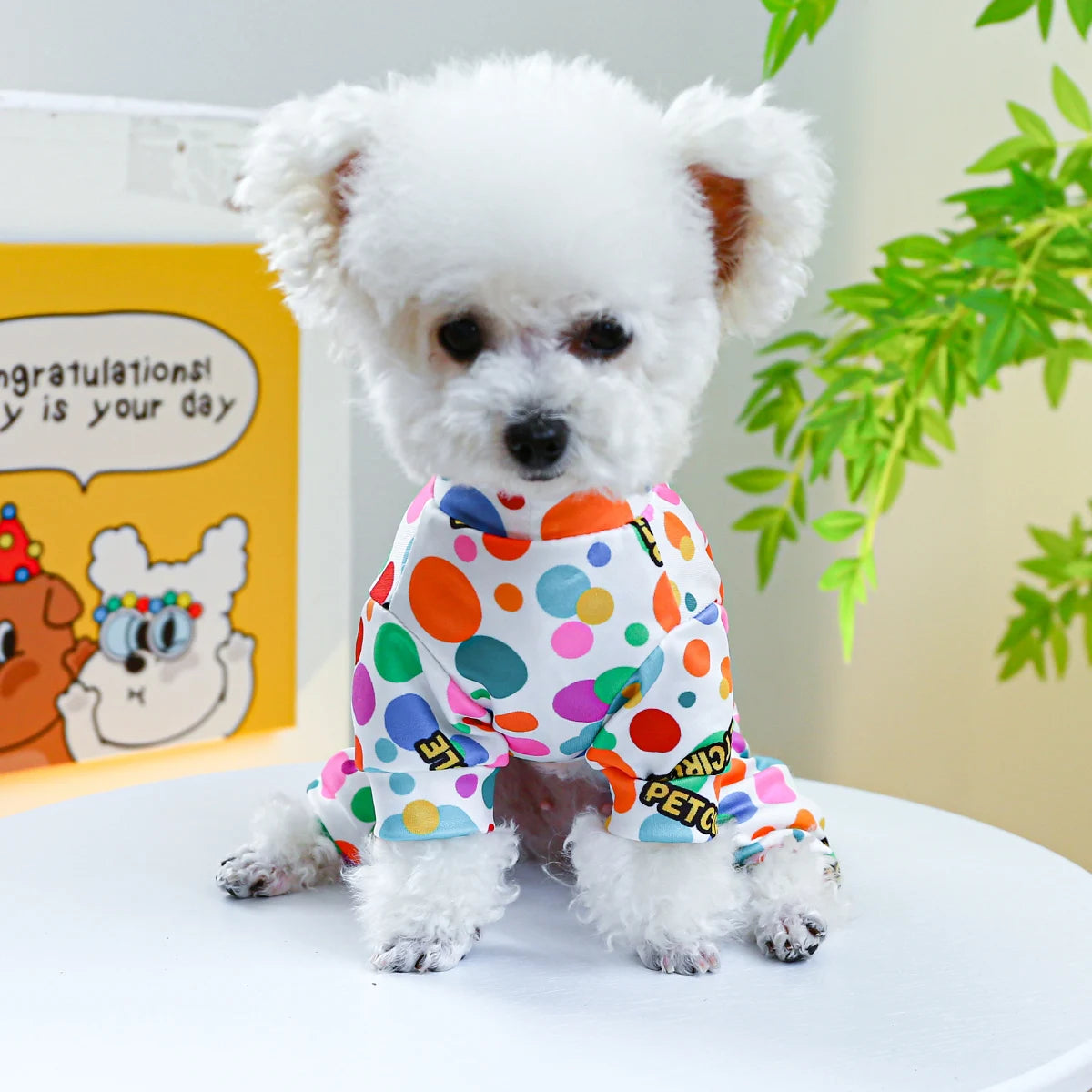 Vêtements pour animaux de compagnie, 1 pièce, printemps-automne, couleur fine, bulle, pyjama blanc à quatre pattes avec boucle à cordon pour petits et moyens chiens