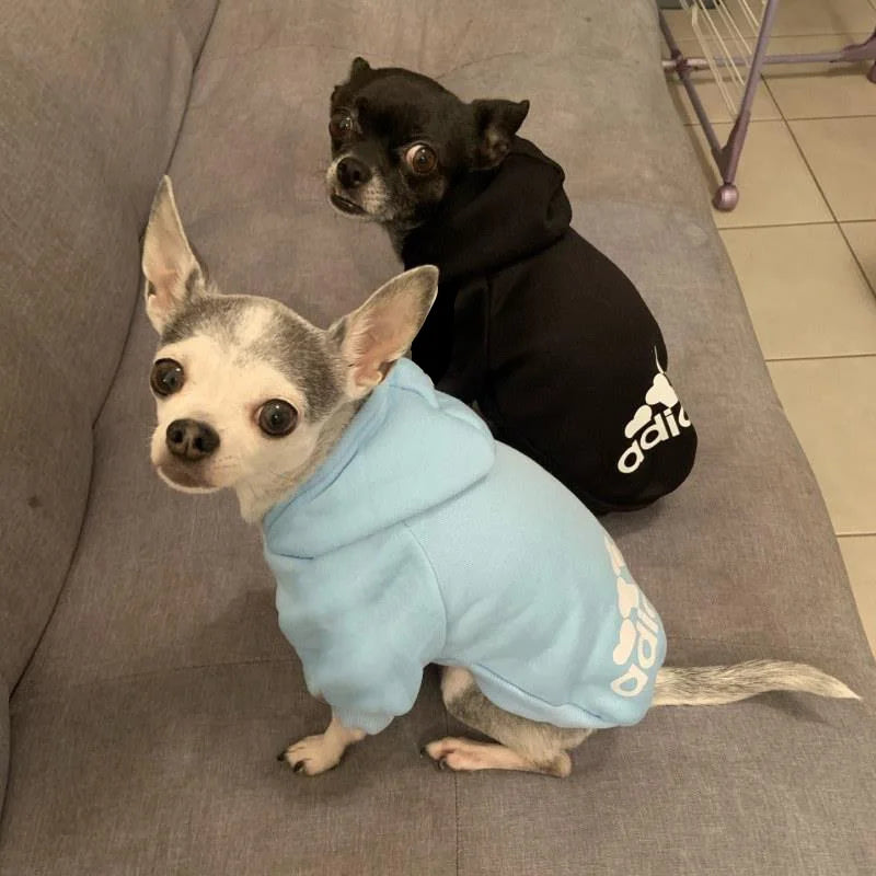 2021 hiver chien vêtements chiens sweats à capuche polaire chaud sweat petit moyen grand chiens veste vêtements Costume pour animaux de compagnie chiens vêtements