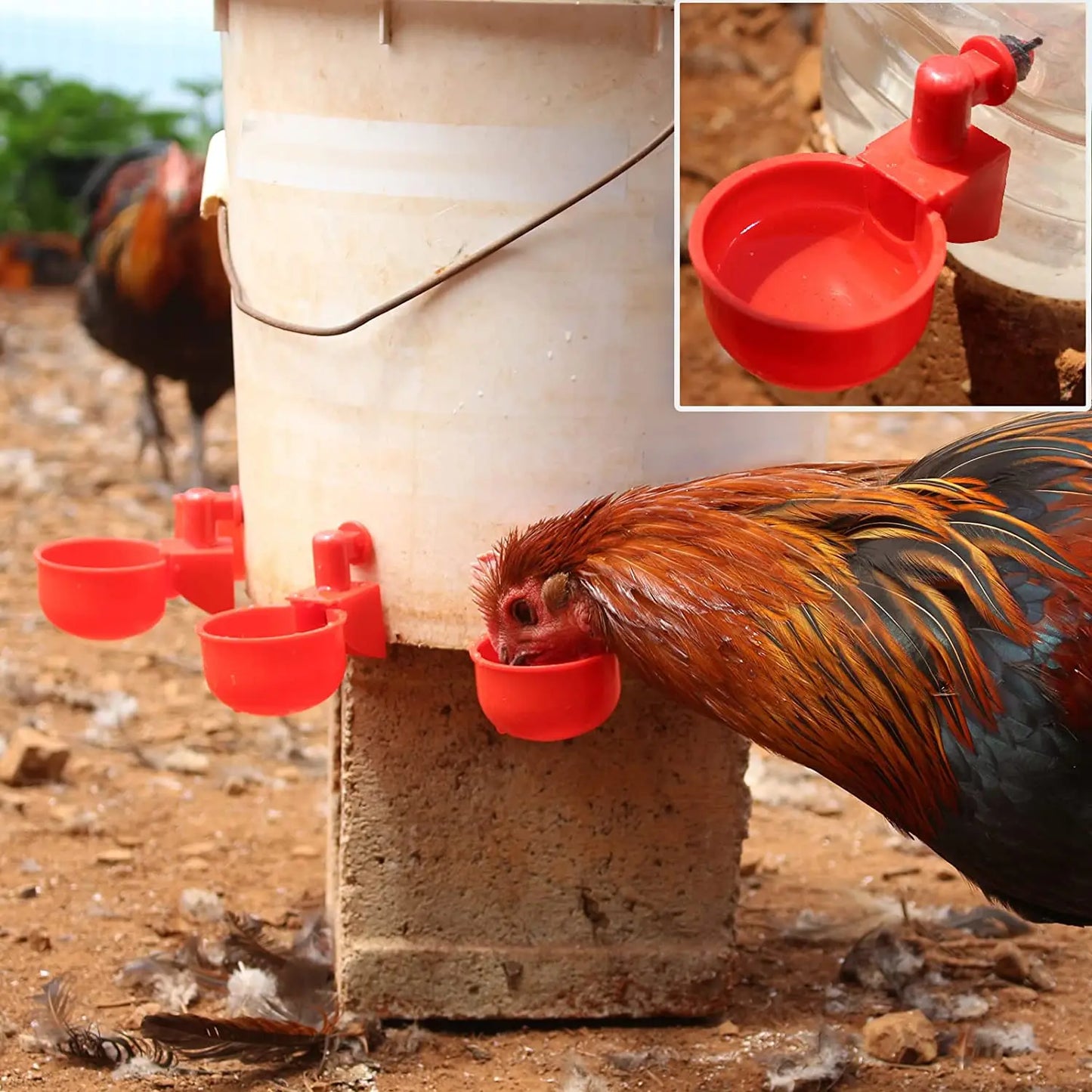 Gobelet à boire automatique en plastique pour poulet et canard, 6 à 36 pièces, mangeoire pour poulet, pour ferme de volaille, gobelets d'eau, Installation facile