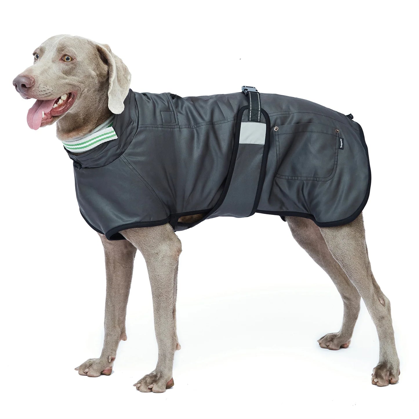 Ropa para perros impermeable primavera otoño cálido abrigo para perros grandes ajustable reflectante a prueba de viento chaqueta de lluvia al aire libre para senderismo