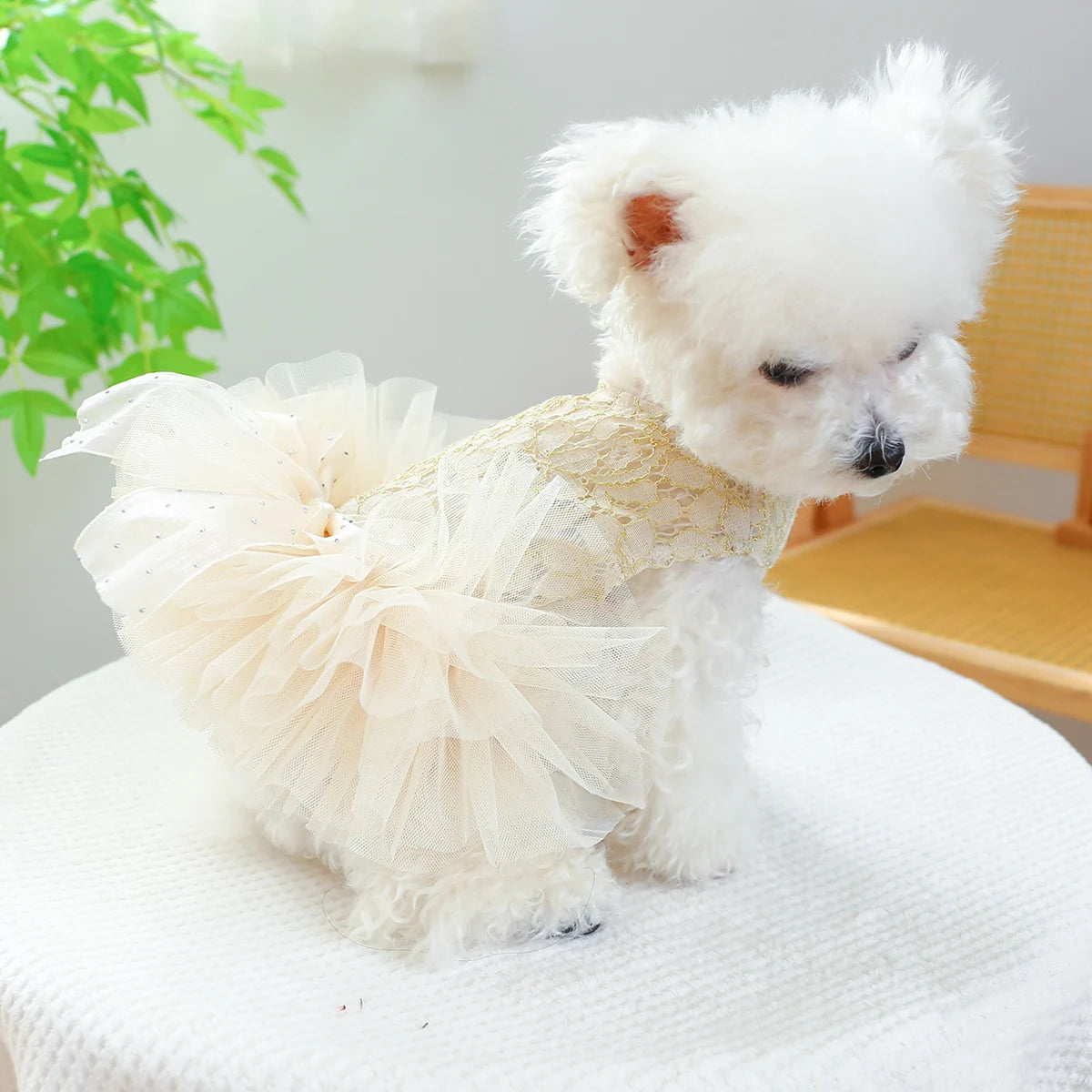 Ropa para mascotas, vestido de boda blanco para primavera/verano, falda Pengpeng de palacio de lujo, vestido chino para perros pequeños y medianos, 1 ud.