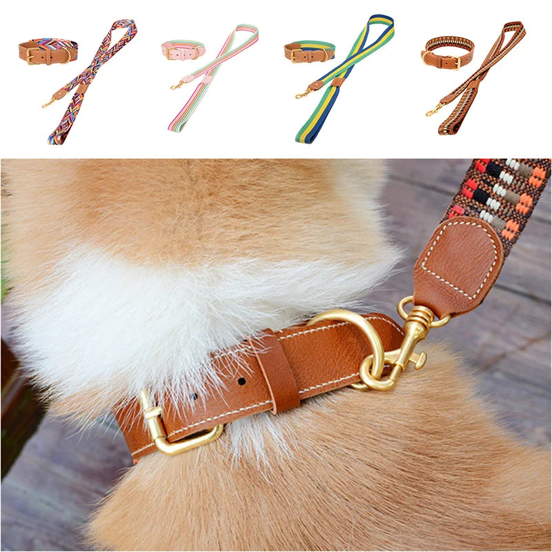 Nuevo collar de color mejorado de alta calidad para perros grandes, pastor alemán, paseo para perros, cadena P, mascota ajustable para perros medianos y grandes, accesorios