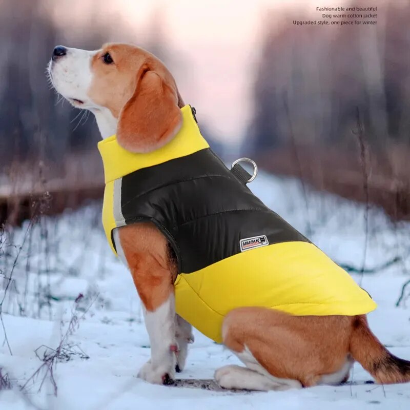 Vêtements chauds d'hiver pour animaux de compagnie, tenue, gilet pour animaux de compagnie, veste à fermeture éclair, manteaux imperméables pour petits, moyens et grands chiens, bouledogue français Labrador