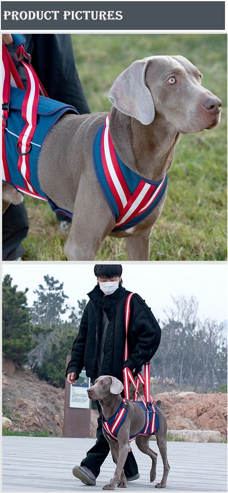 Arnés de asistencia ajustable, soporte para eslinga de elevación, correa para mascotas, accesorios de tracción para perros mayores, correa para entrenamiento y ayuda para el comportamiento