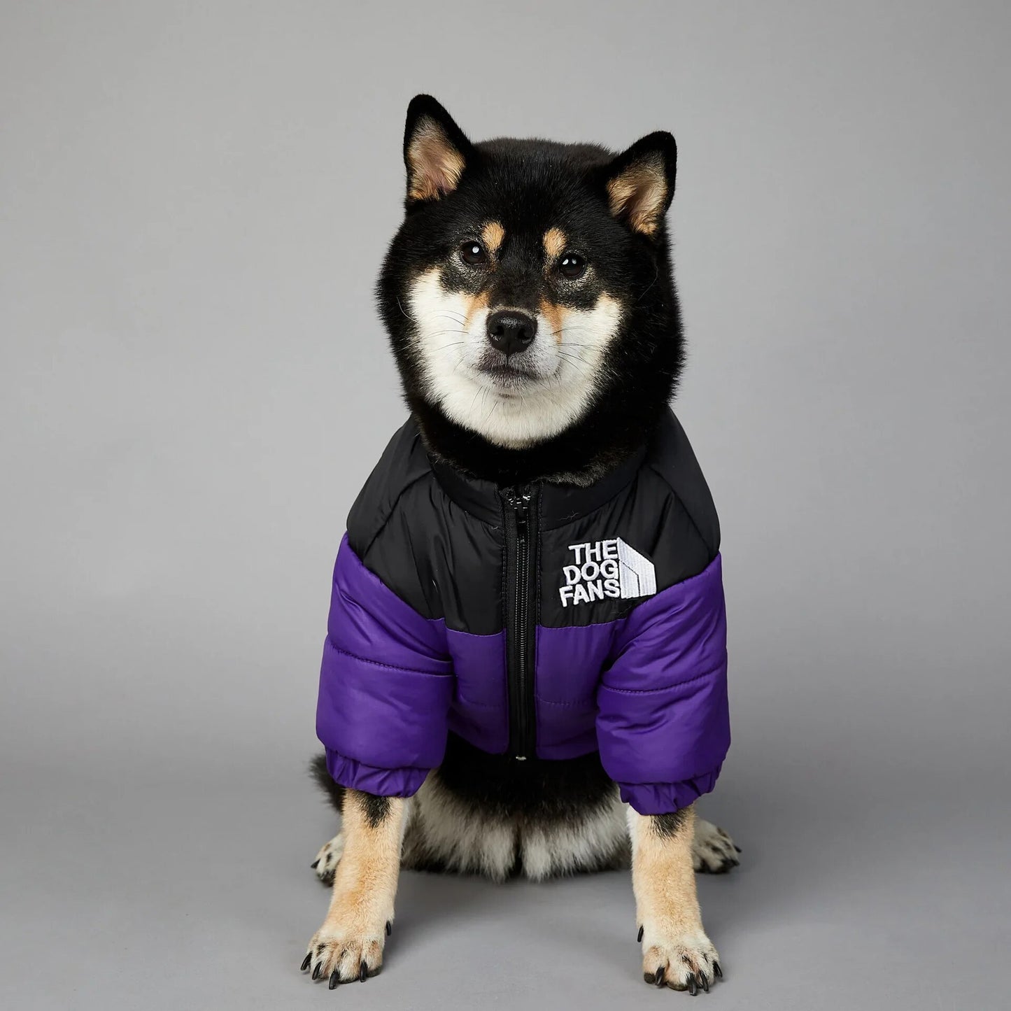 Chaqueta de invierno con cara de perro para perros pequeños y medianos, chaleco grueso y cálido para perros, abrigo para cachorros de Bulldog Francés, estilo de moda