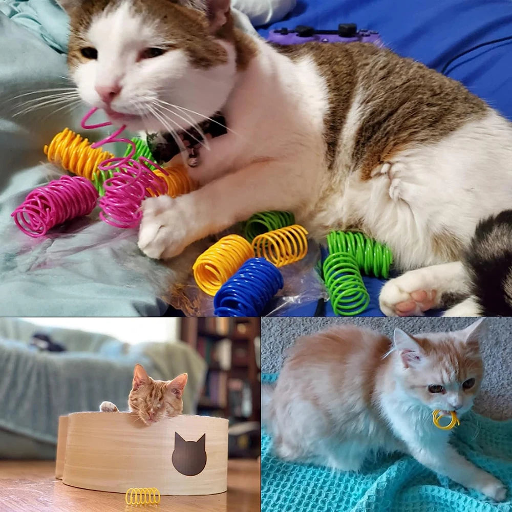 Cat Spring Toy Cat Kittens Toys Plastic Coil Spiral Springs for Swatting Biting Hunting and Active Healthy Play Pet Products