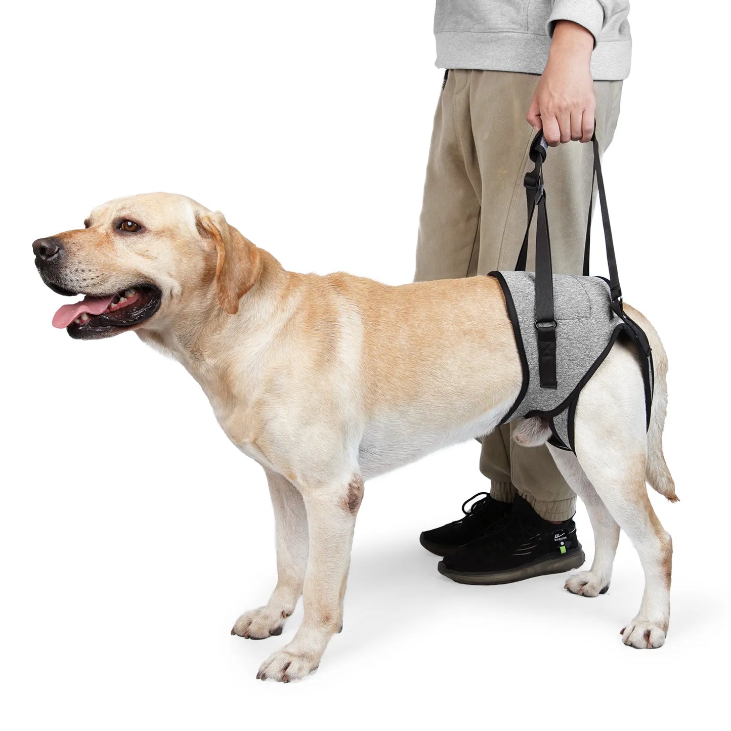 Arnés de elevación para perros grandes, suave, acolchado, ajustable, soporte para patas traseras para mascotas, para lesiones en las articulaciones de personas mayores, accesorios para cabestrillo para patas traseras de perros