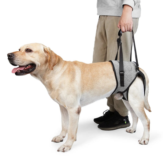 Arnés de elevación para perros grandes, suave, acolchado, ajustable, soporte para patas traseras para mascotas, para lesiones en las articulaciones de personas mayores, accesorios para cabestrillo para patas traseras de perros